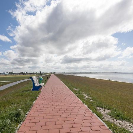 Direkt Am Deich - Ferienwohnung Amrum Im Gaestehaus Am Badedeich Dagebüll Exteriér fotografie