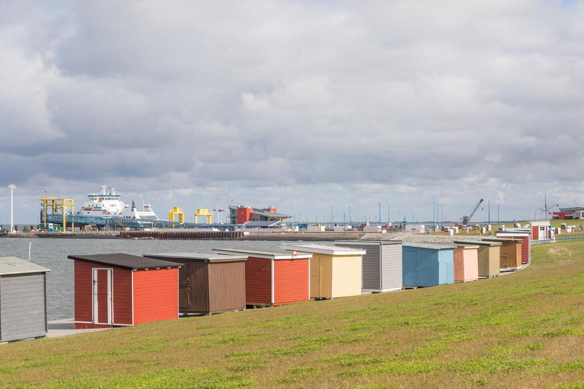 Direkt Am Deich - Ferienwohnung Amrum Im Gaestehaus Am Badedeich Dagebüll Exteriér fotografie